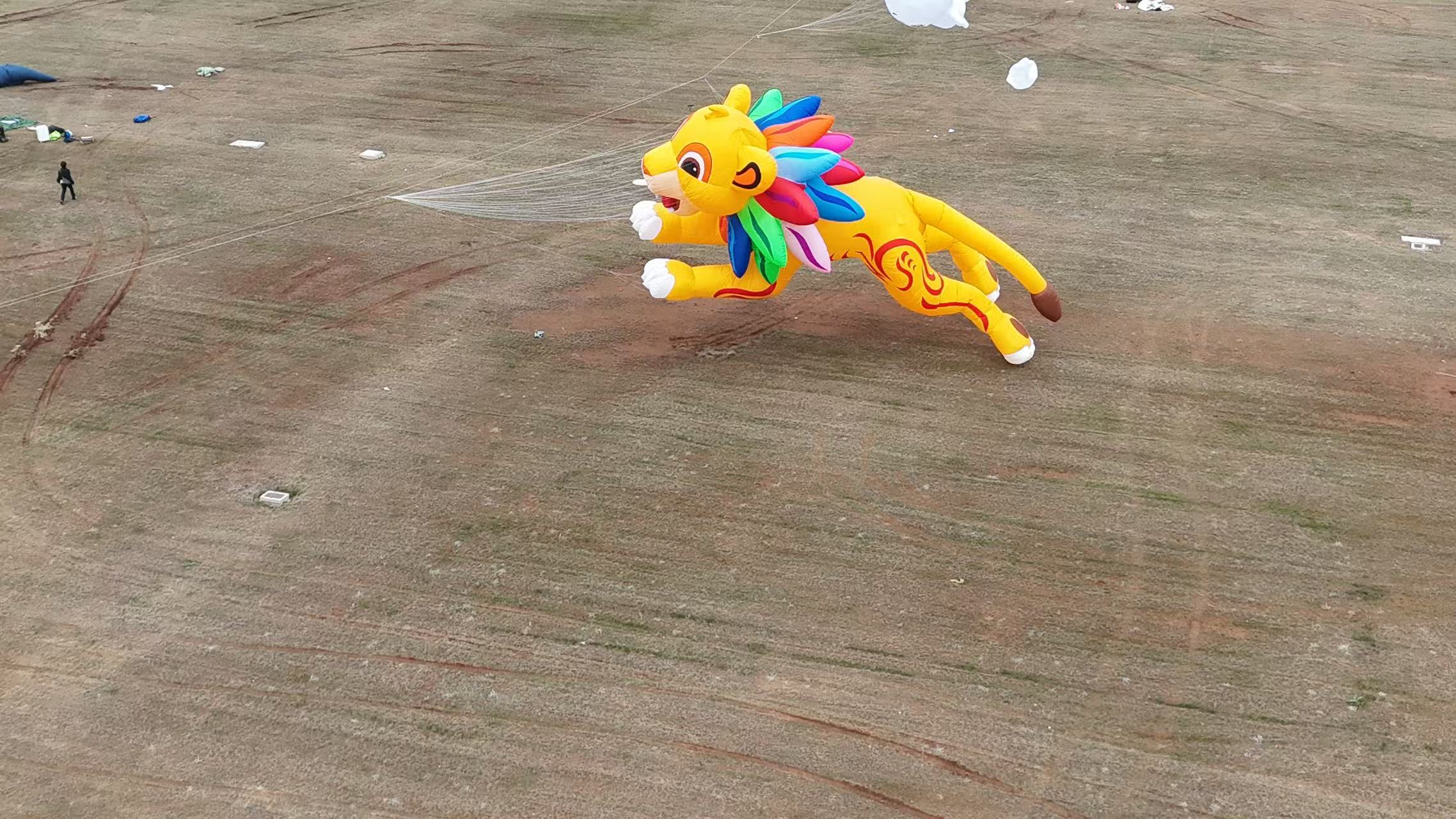 河源市品牌风筝定制宣传风筝定制 - 方案