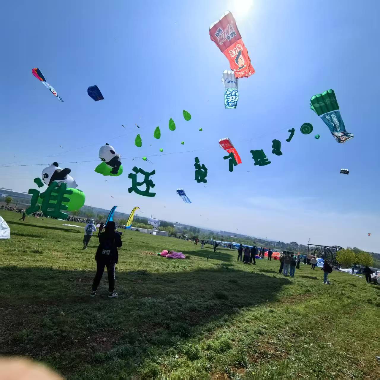 河源市软体风筝定制风筝定制 - 厂家